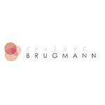 CHU Brugmann logo-1