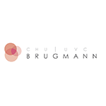CHU Brugmann logo-1 CHU Brugmann logo-1