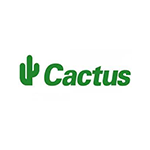 Cactus Cactus